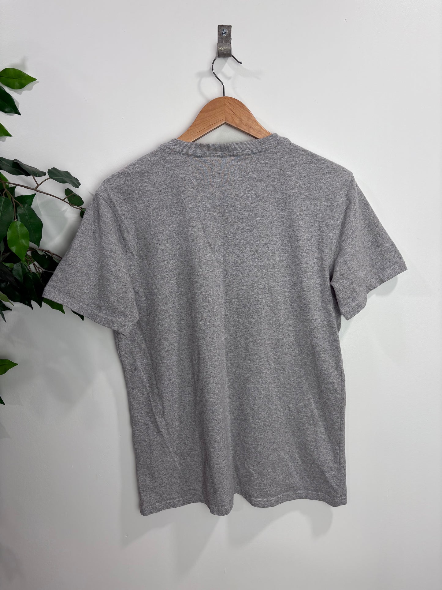 Carhartt t-shirt (Medium)