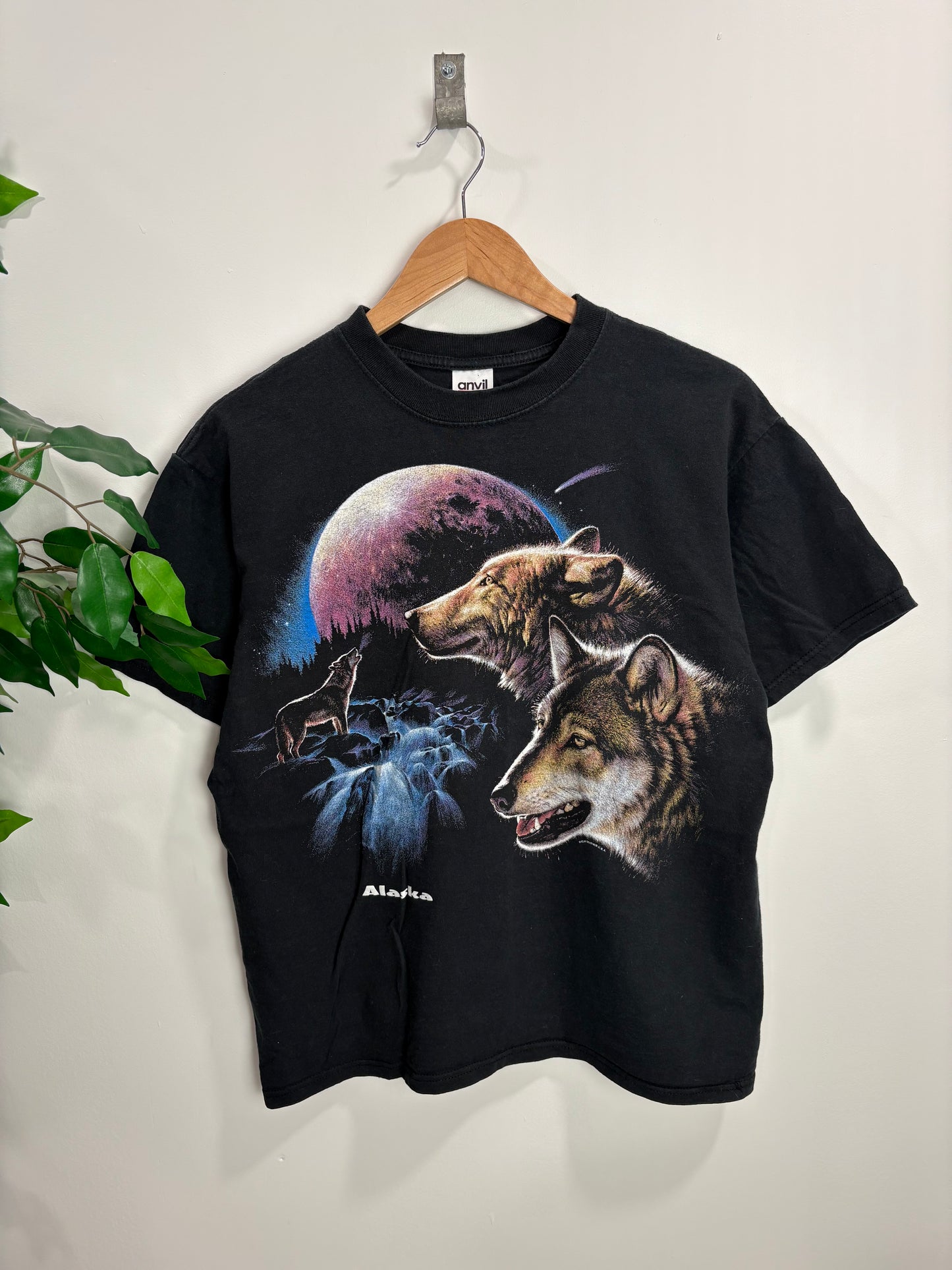 Vintage Alaska t-shirt (Large)