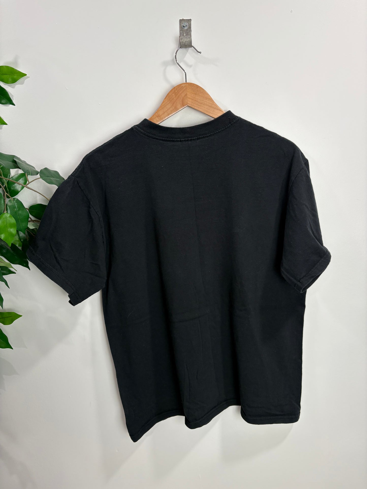 Vintage Alaska t-shirt (Large)