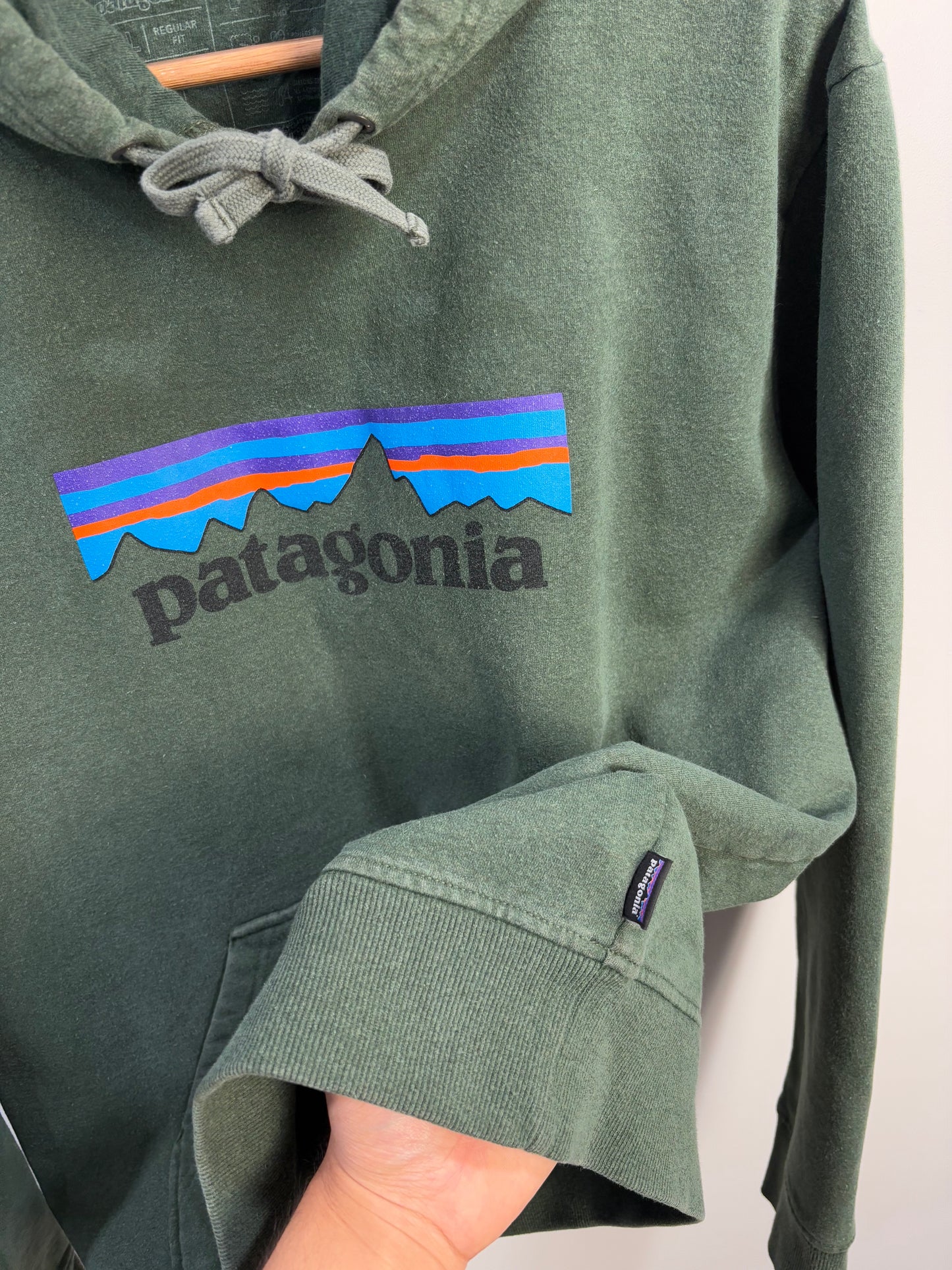 Patagonia Hoodie (XL)
