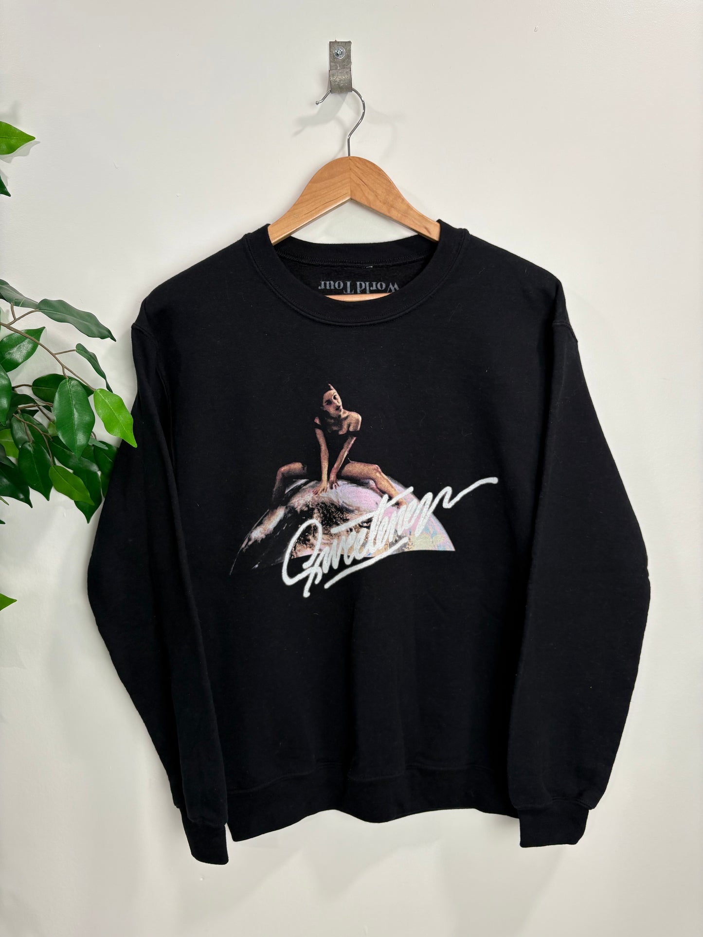 Ariana Grande Tour Sweater (Small)